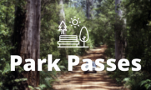 Park Passes Icon Image